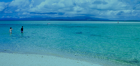 メディアライブラリ