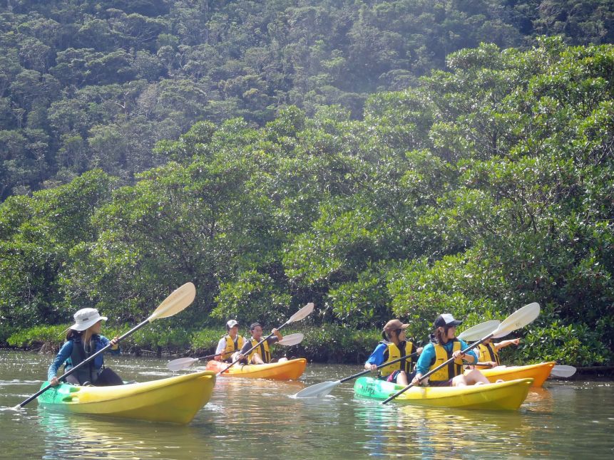 がじゅまる自然学校　大浦マングローブカヤック1