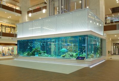 イオンモール沖縄ライカム　水槽
