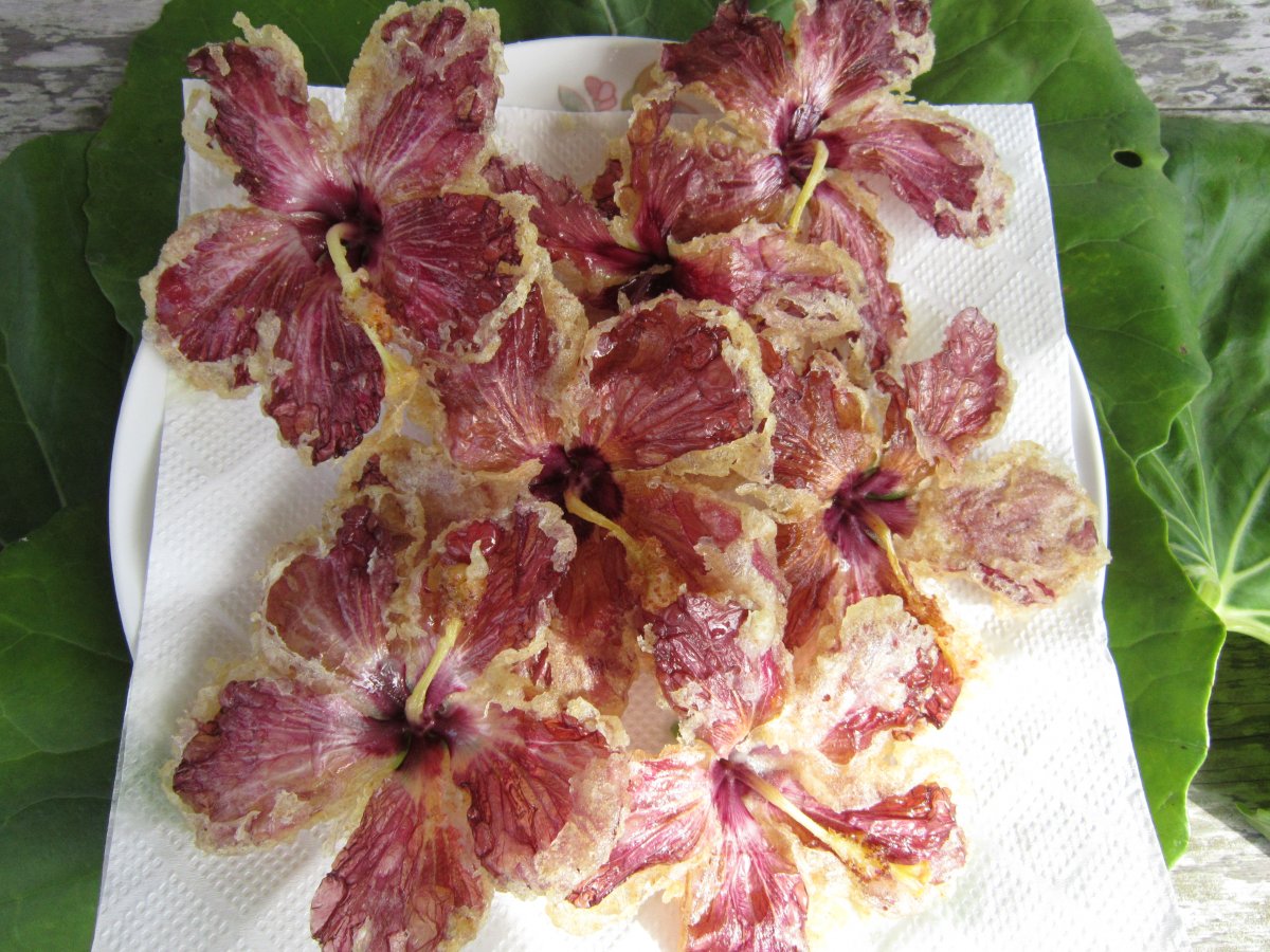 ヤンバルの山菜ツアー