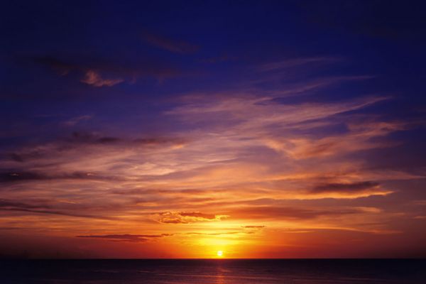 Dinner Cruise “Moby Dick”