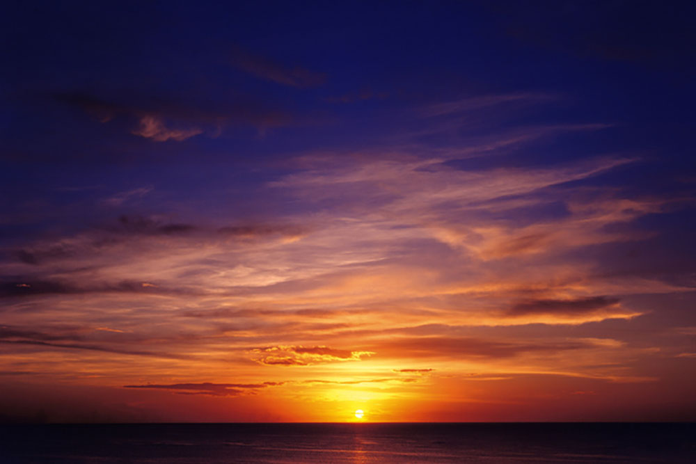 Dinner Cruise “Moby Dick”