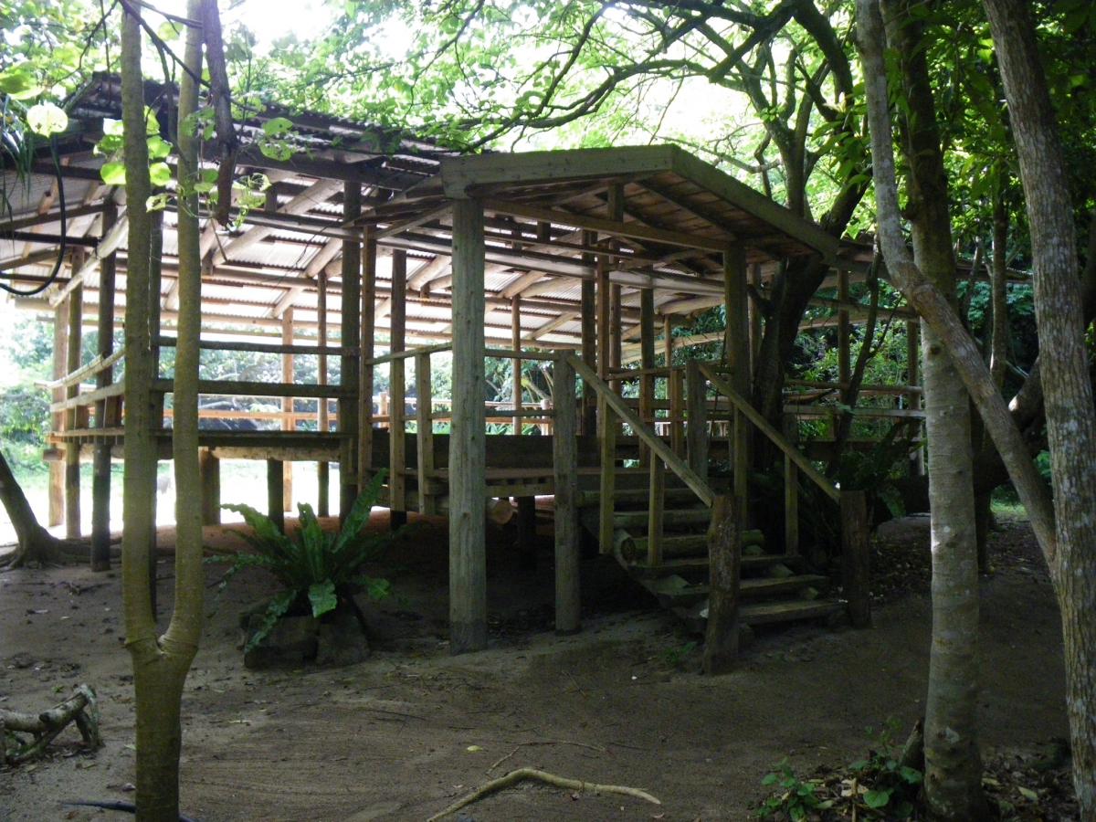 エコネット・美(ちゅら)「エコツアー体験」