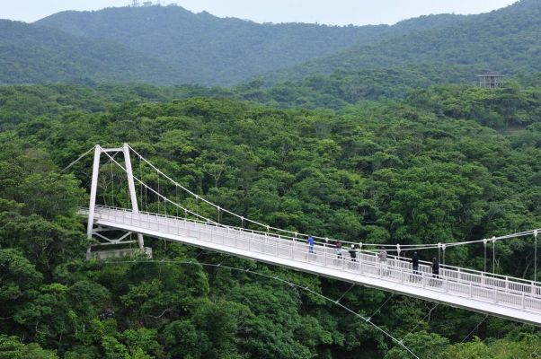 平田観光(株)「島めぐり体験プログラム」