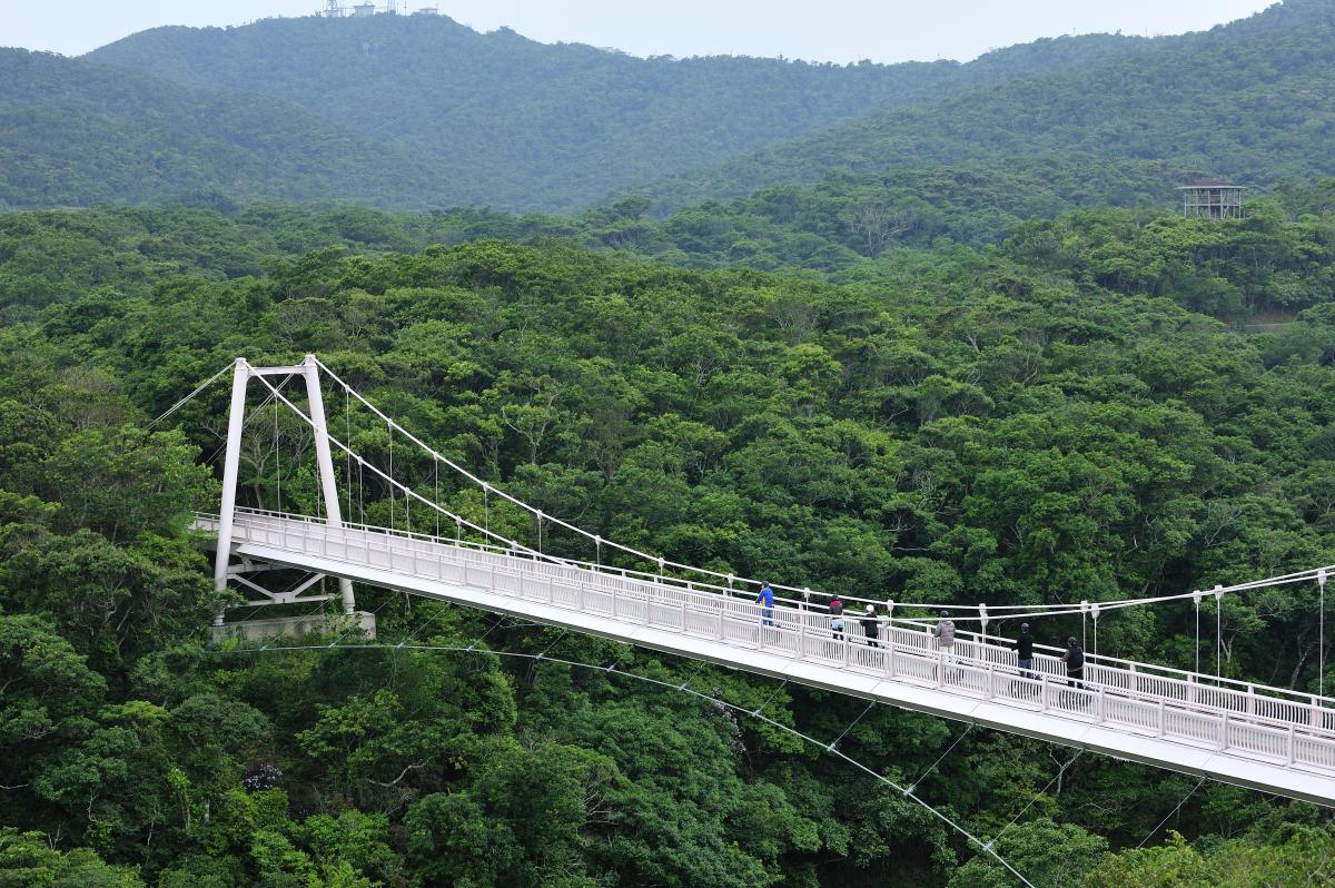 平田観光(株)「島めぐり体験プログラム」