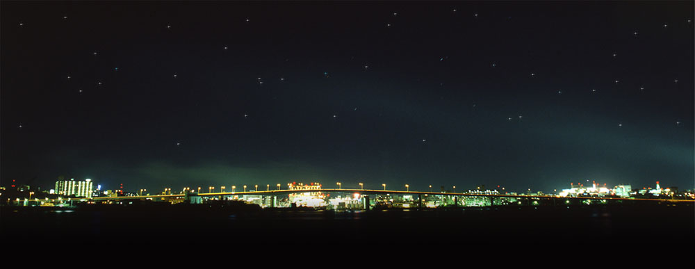 Dinner Cruise “Moby Dick”