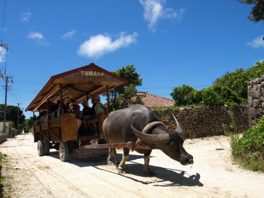 (有)安栄観光「島めぐり体験ツアー」
