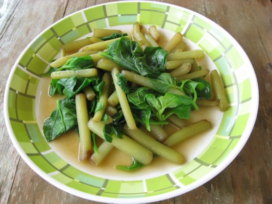 ヤンバルの山菜ツアー