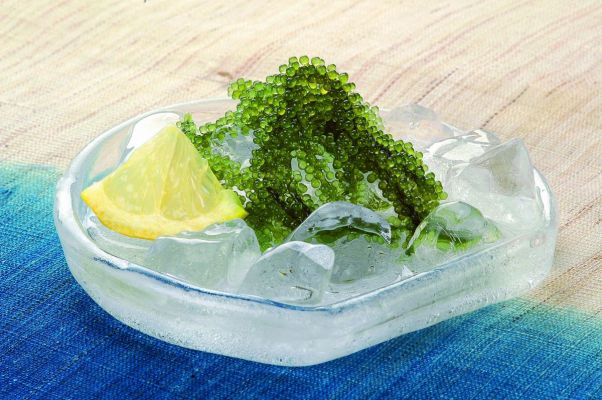 Washita Shop Kokusai Dori Main Store