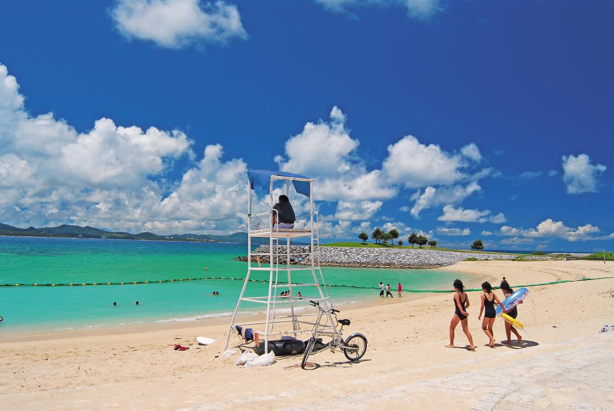 21st Century Forest Beach