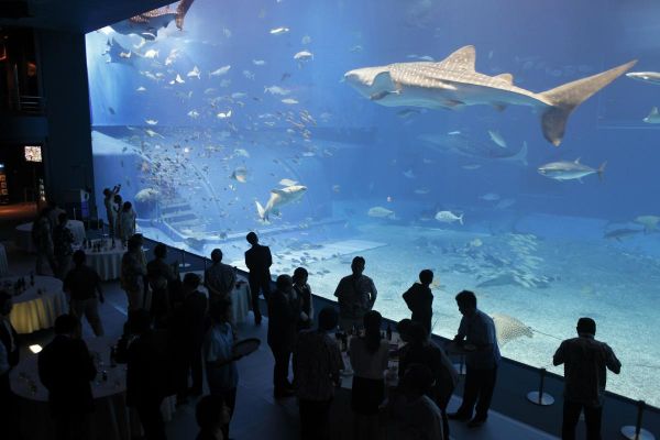 沖縄美ら海水族館