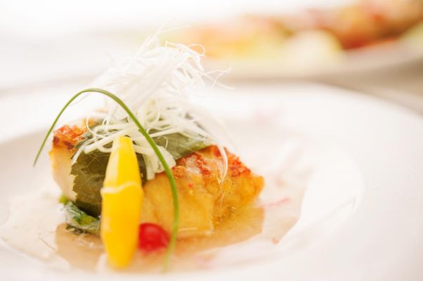 Erythrina Nishihara Hillsgarden