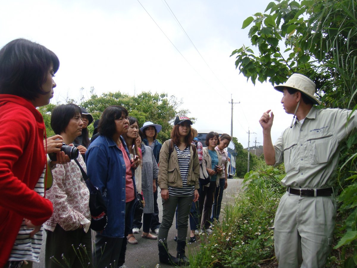 秋のヤンバル観察会「植物ガイドツアー」