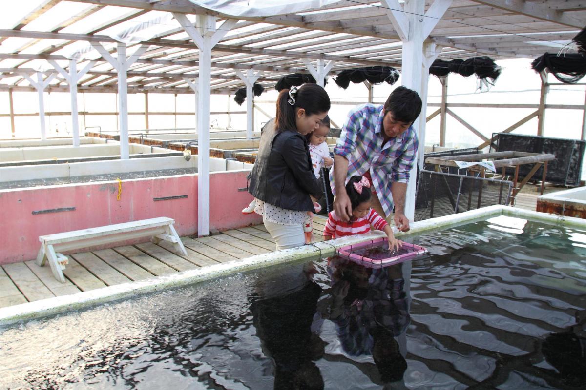 海ぶどう農園のお店ぷちぷち「海ん道」～UMINCHI～