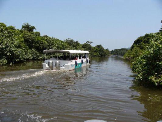 八重山観光フェリー(株)　「水牛車体験プログラム」