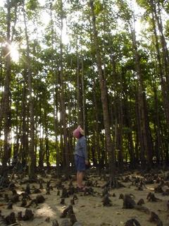 屋我地エコツーネット「カヌー体験」