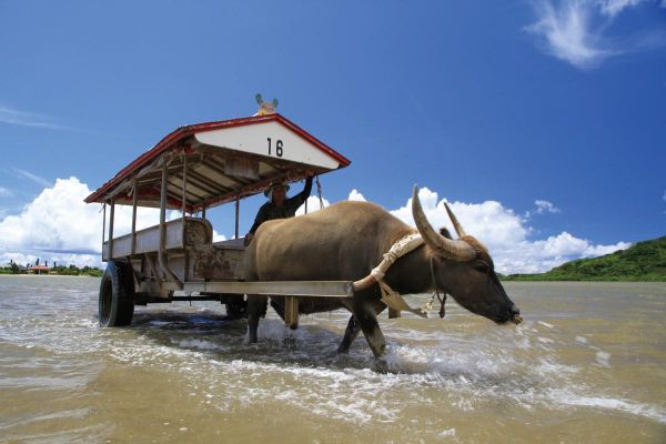 (有)安栄観光「島めぐり体験ツアー」