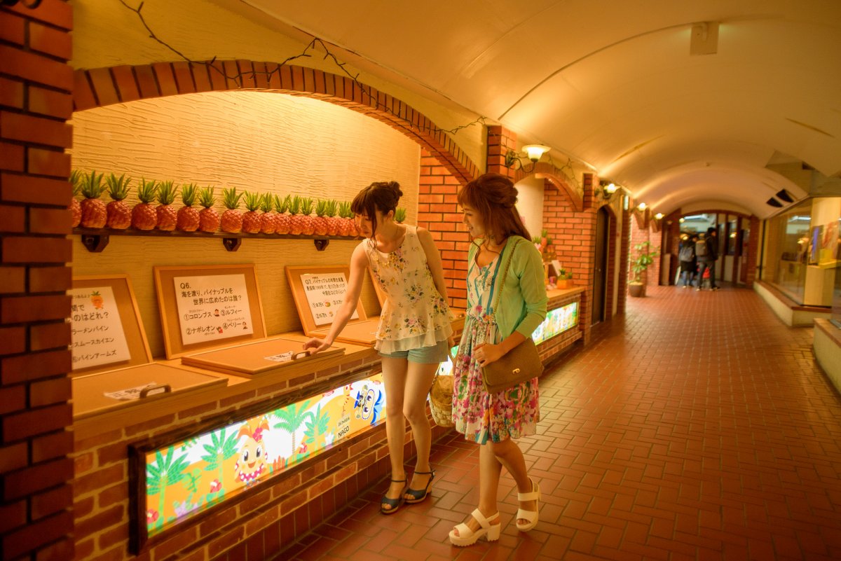 ナゴパイナップルパーク