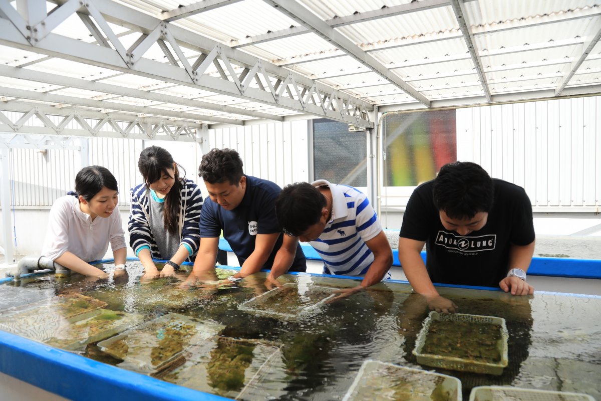 宜野湾海洋支援中心