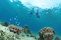 Resort Enterprise Okinawa Reef Resort Kariyushi