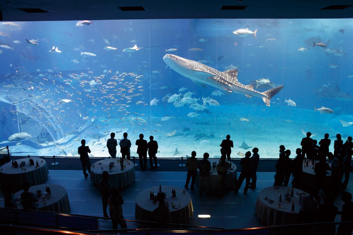 沖縄美ら海水族館