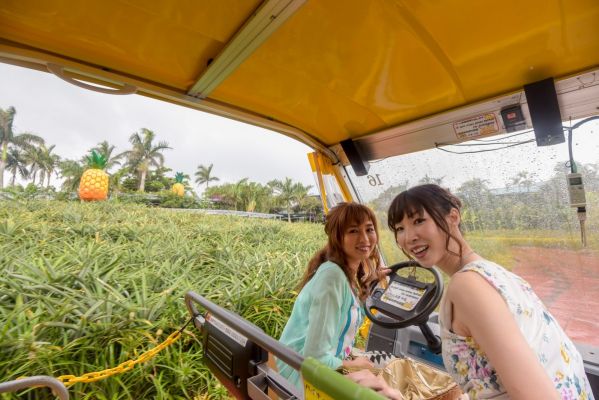 ナゴパイナップルパーク