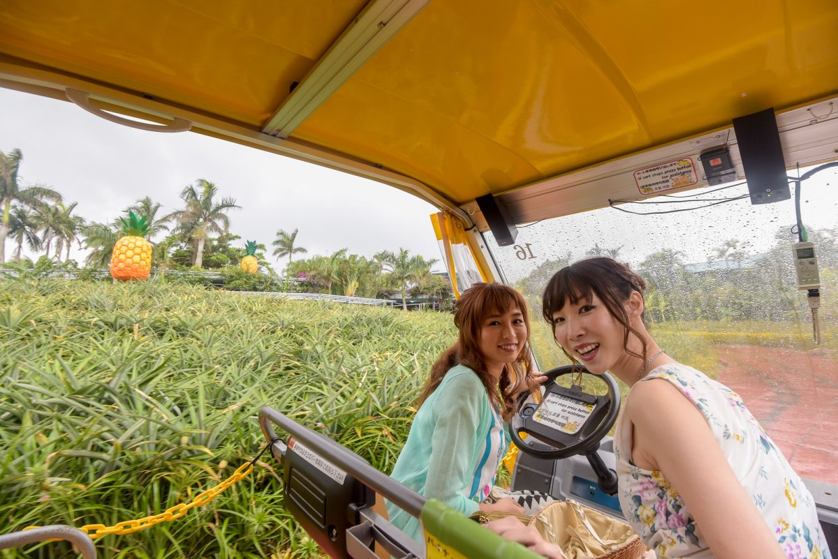 ナゴパイナップルパーク