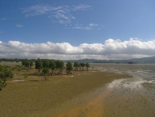 屋我地エコツーネット「カヌー体験」