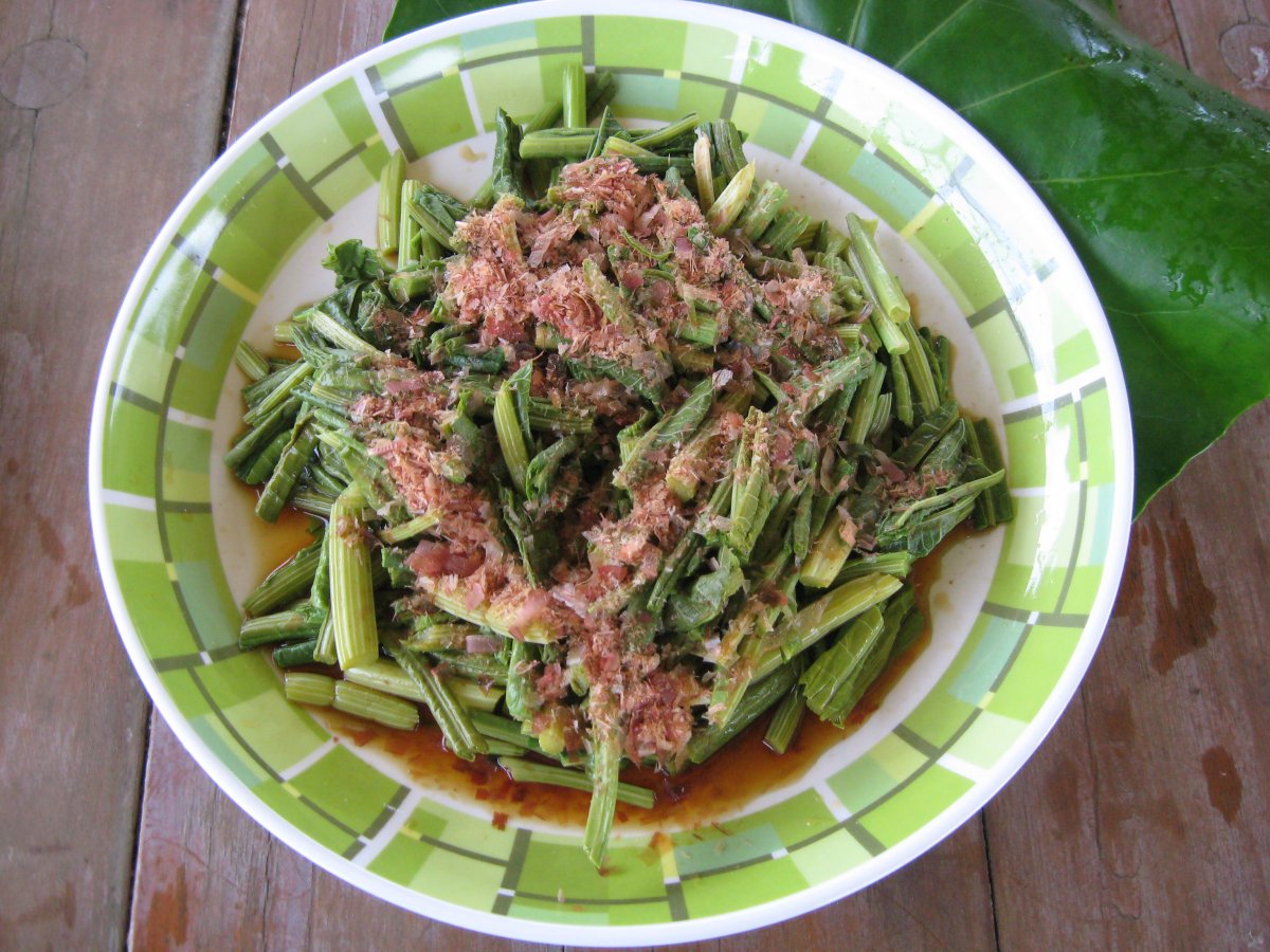 ヤンバルの山菜ツアー