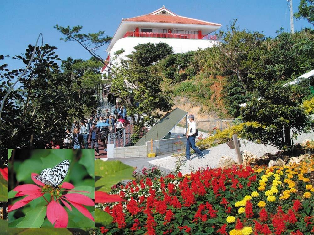 琉宮城蝶々園