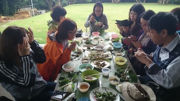 ヤンバルの山菜ツアー