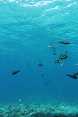 宮古島海中公園