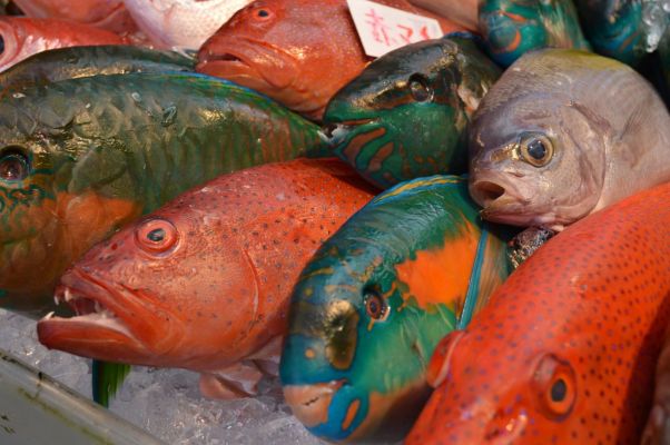 Taste of Okinawa Cooking Experience「料理体験プログラム」