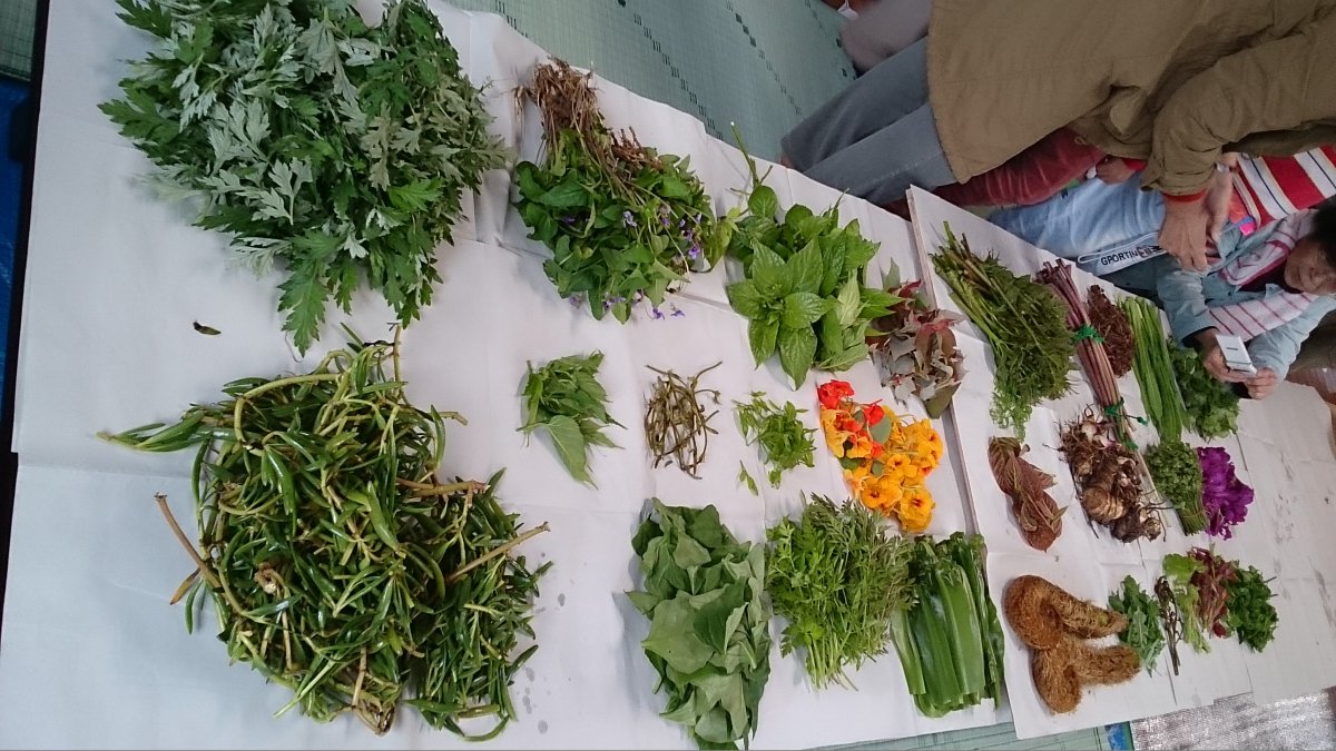 ヤンバルの山菜ツアー