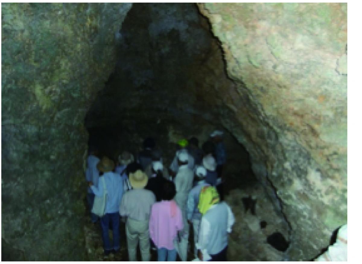 Okinawa Prefecture Tourism Volunteer Guide Association