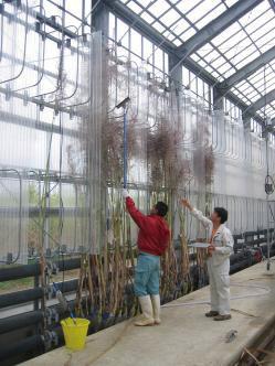 Okinawa Prefectural Government Agricultural Research Center