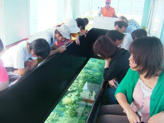 まりんはうすぐるくん