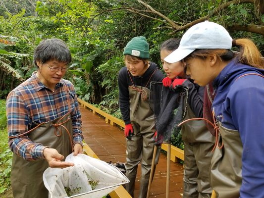 久米島ホタル館　SDGｓプログラム　創るエコツアー・ナイト＆デイ