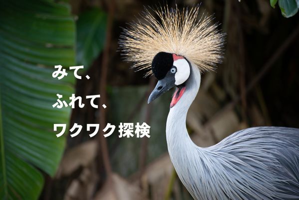 ネオパークオキナワ