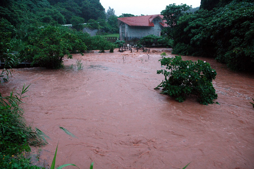 久米島ホタル館 SDGsプログラム 創るエコツアー・ナイト&デイ