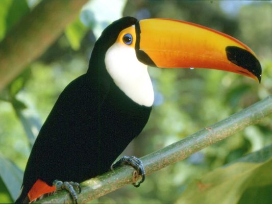 ネオパークオキナワ