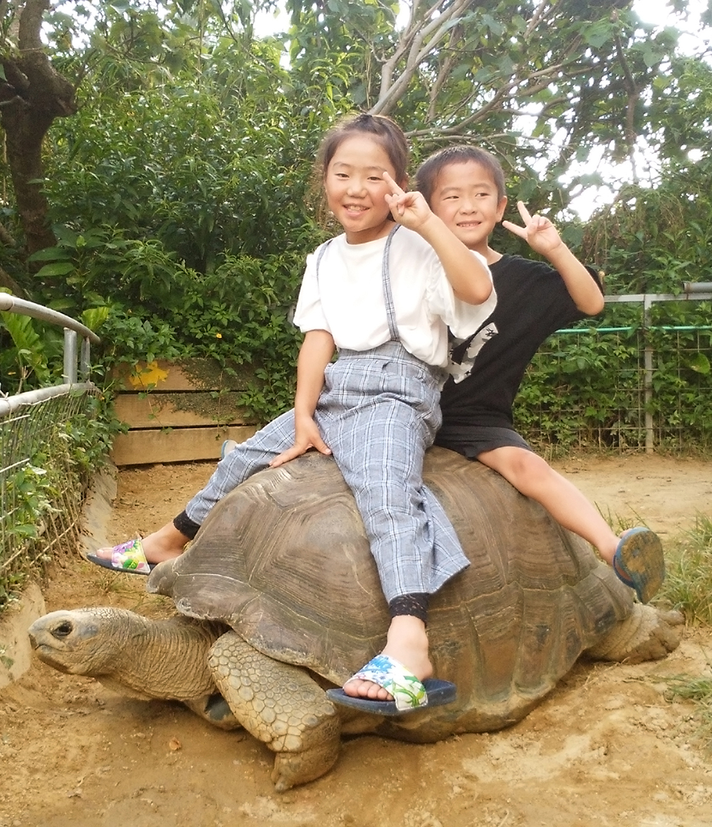 ネオパークオキナワ