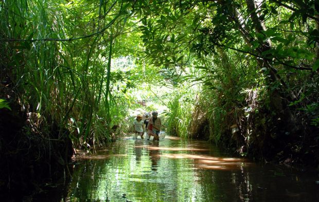 久米島ホタル館 SDGsプログラム 創るエコツアー・ナイト&デイ