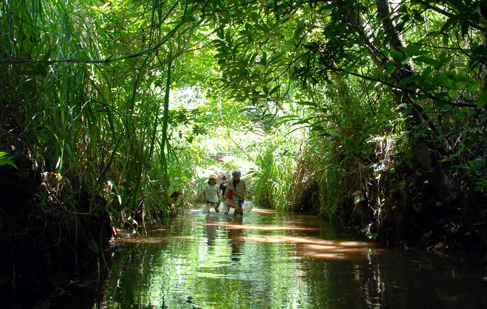 久米島ホタル館 SDGsプログラム 創るエコツアー・ナイト&デイ