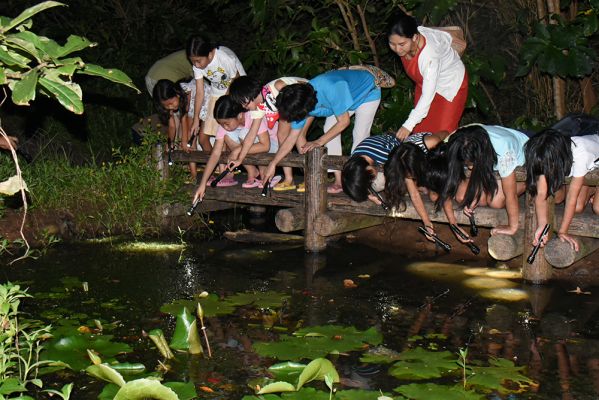 久米島ホタル館 SDGsプログラム 創るエコツアー・ナイト&デイ