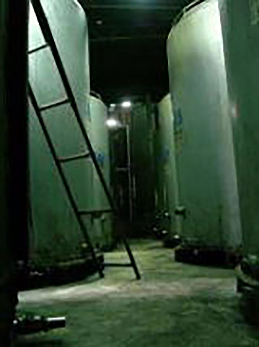 有限会社山川酒造