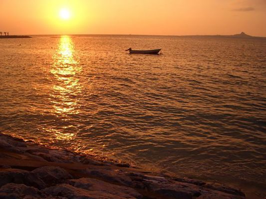 有限会社山川酒造