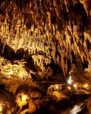 CAVE OKINAWA