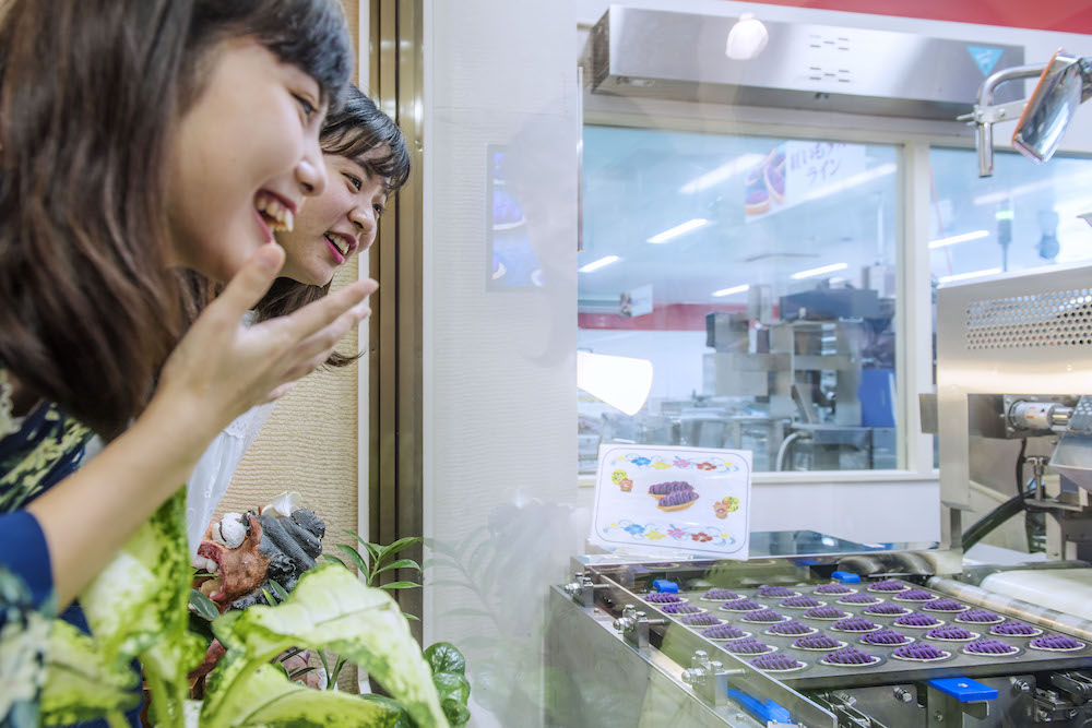 紅いもタルト工場見学