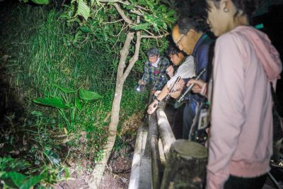 久米島ホタル館　ナイトツアー